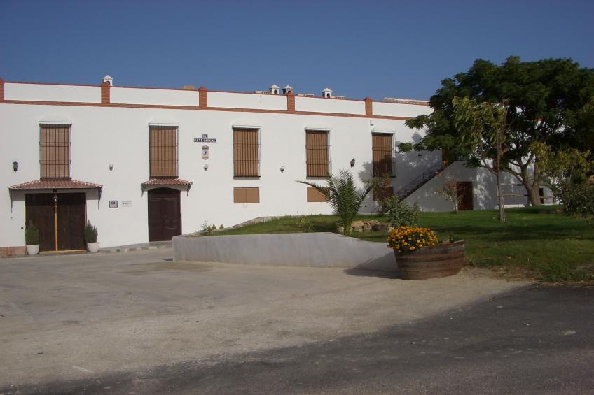 El Patriarcal - foto 2