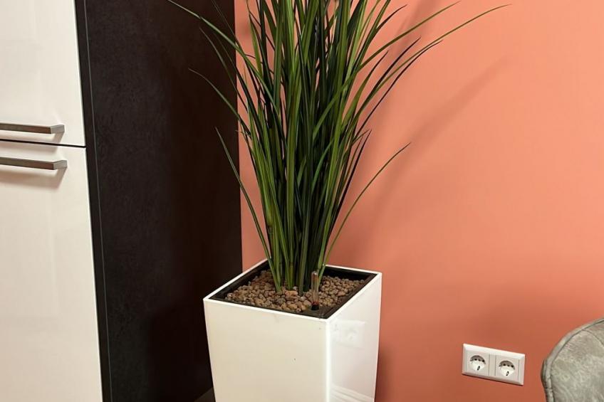 CityDreams - foto 10