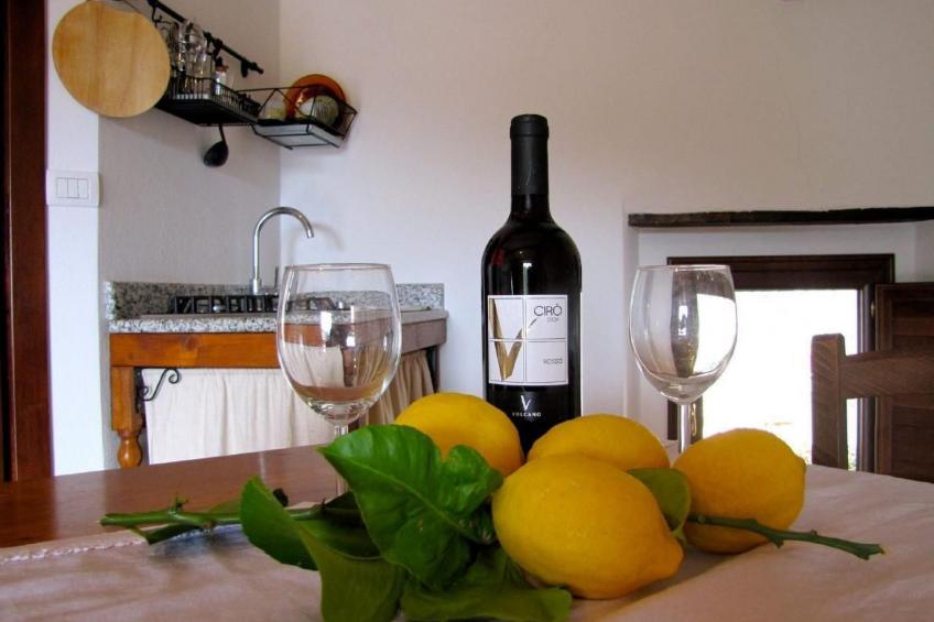 Großes Studio mit Terrasse mit Meerblick - foto 6