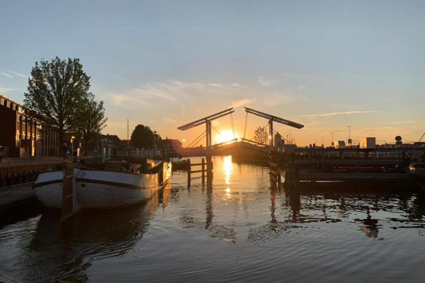 De Trots van de Konijnenberg - foto 40