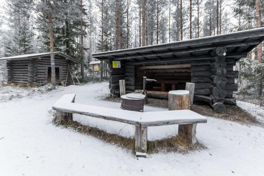 Kissaniemi - foto 17