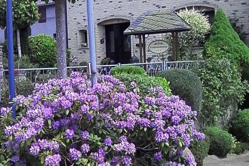 Elztalblick - foto 4