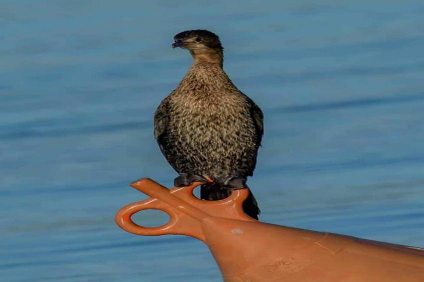 Apartment Marijana - Two Bedroom Apartment with Terrace and Sea View - foto 37