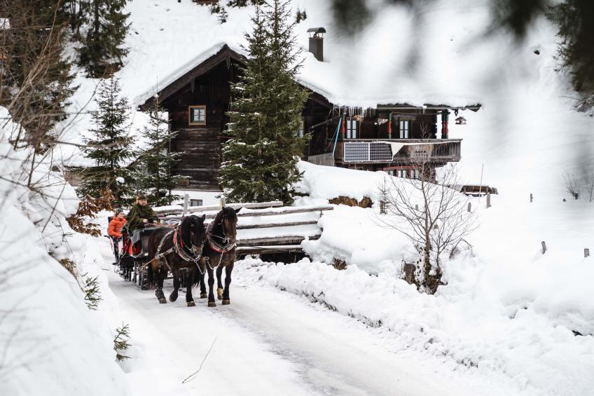 Appartement "Gams-Bartl"  1-2 Personen - foto 34