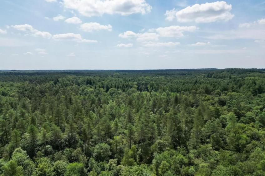 Bungalowpark Hoenderloo - foto 31