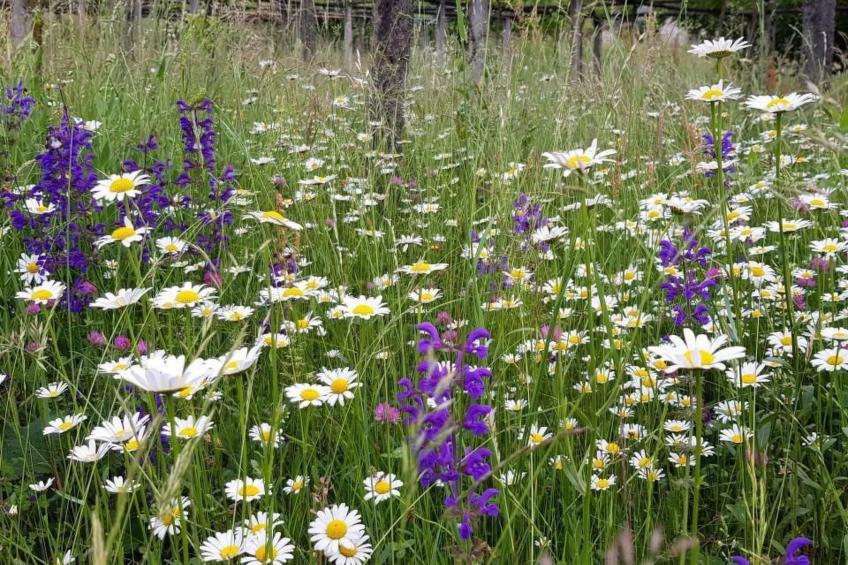 Casa Giardino Grande - foto 14