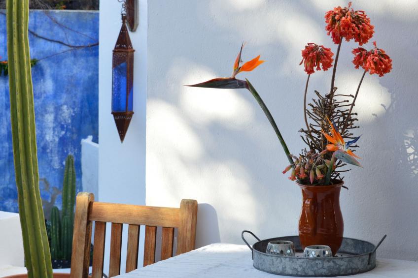 Appartement Casa Hibisco mit schönem Garten - foto 36