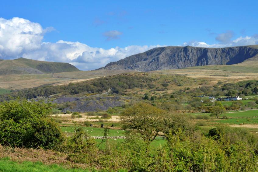 Delfryn - foto 20