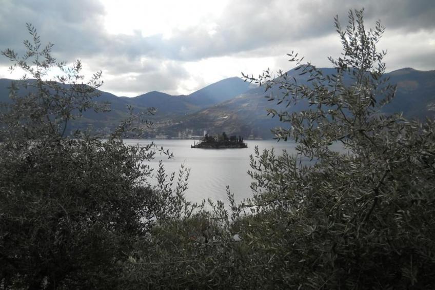 Bellavista - foto 31