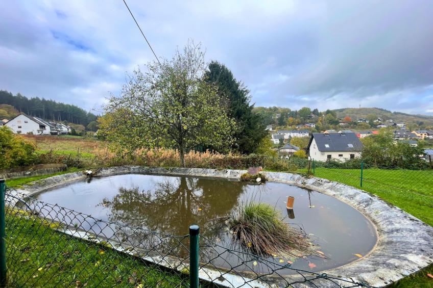 Ferienwohnung Birresborn - foto 34