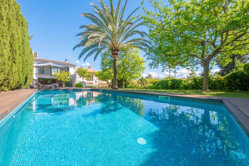 CAN CABRIT - foto 33