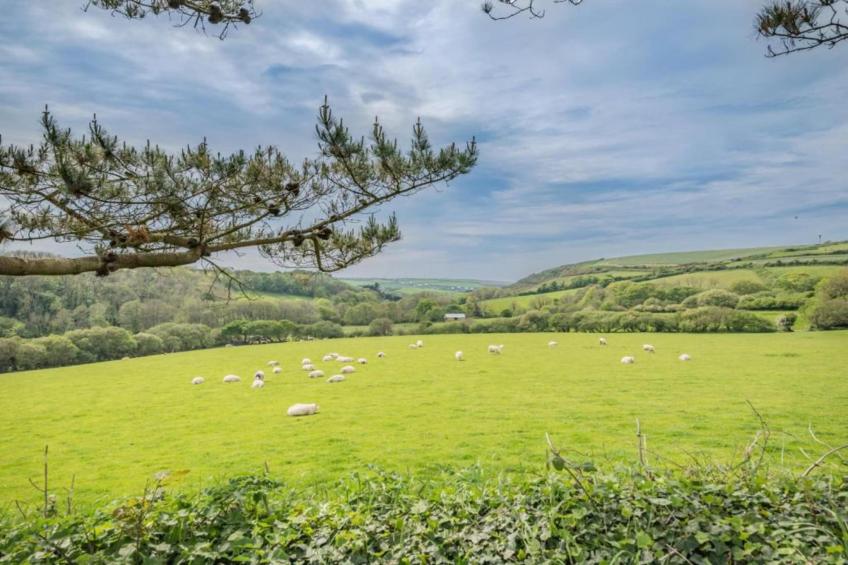 Old Lanvean Cottage - foto 28