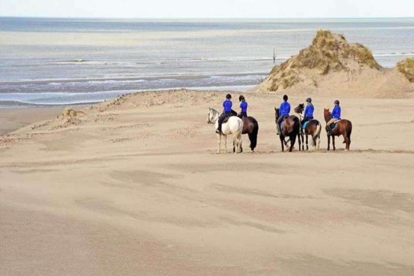 Lilyta B403 4A - foto 35