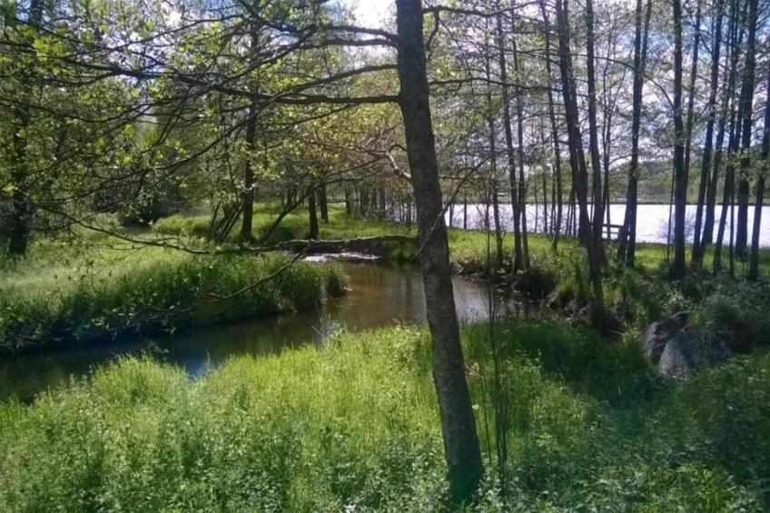 Domaine Des Messires 2 - foto 26