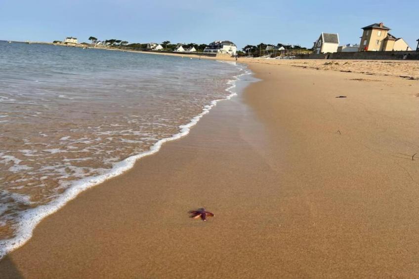 Résidence Valentin Plage 2 - foto 33