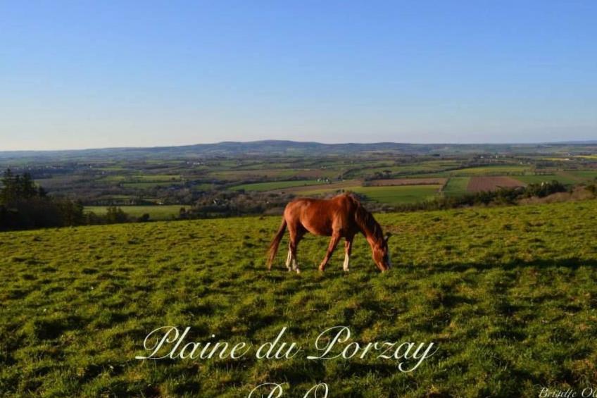 Ferienhaus - foto 43