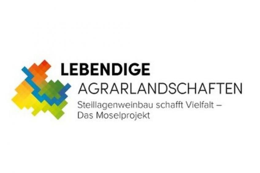 46211 - foto 23