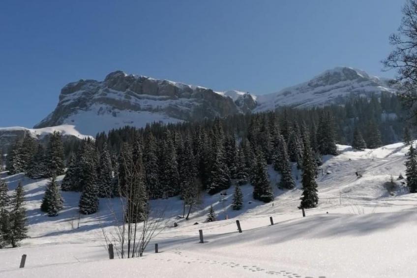 Hüttbödeli - foto 13