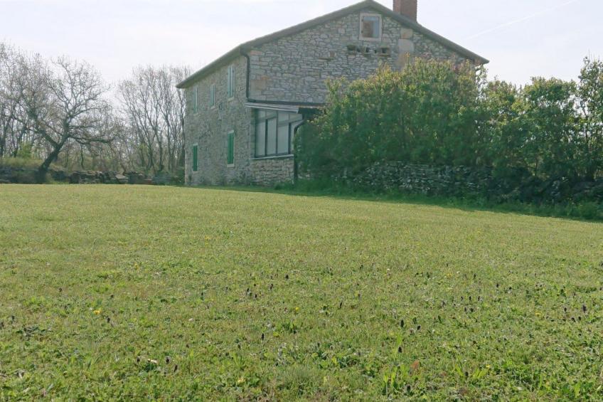 Das Haus im Wald - foto 38