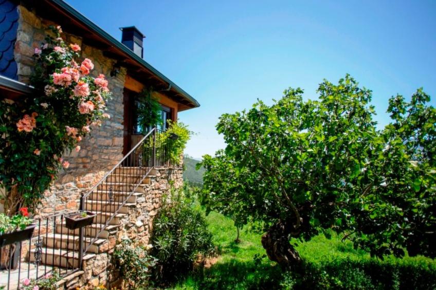 Ländliches Haus Ruralmedulas, 10 Personen