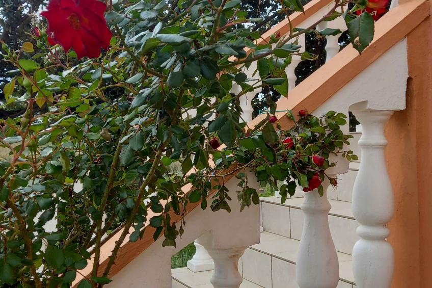 Holiday apartment With sea view - BF-2M3X - foto 9