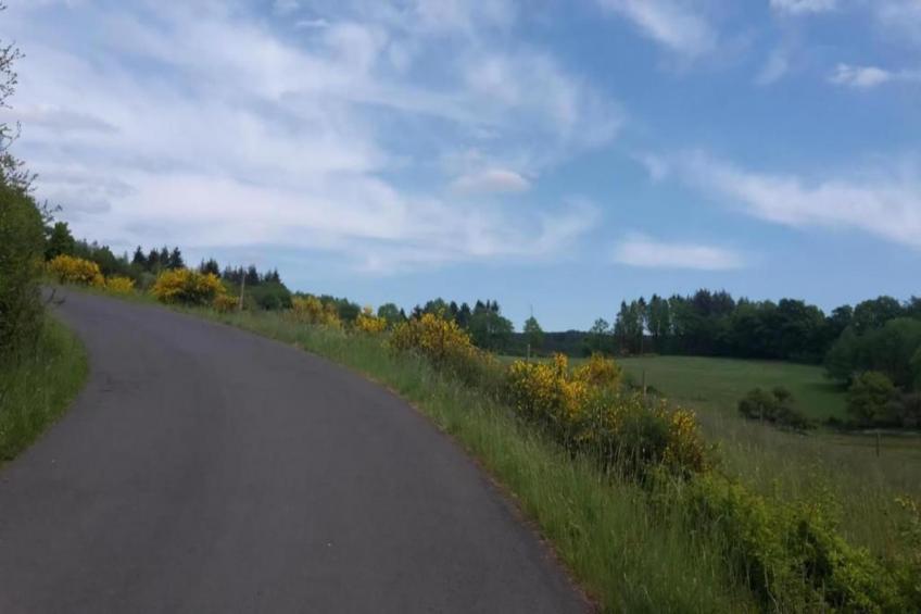 Bungalowpark Rien van den Broeke Village - foto 27