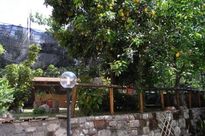 Rosa' Wohnung mit privatem Garten - foto 11