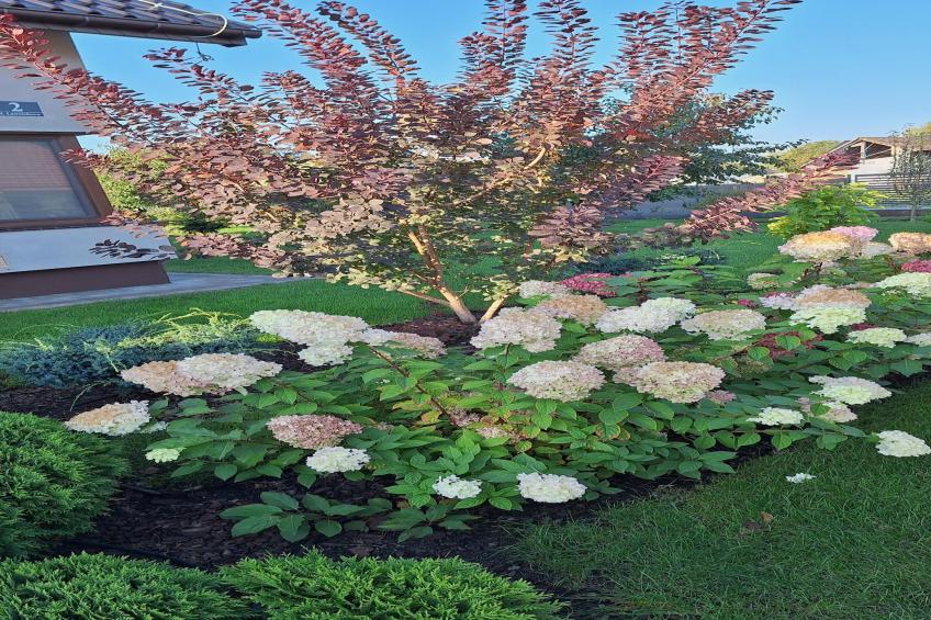 Komfortowy apartament z basenem i ogrodem dla 6 osób w Stepniczce - foto 26