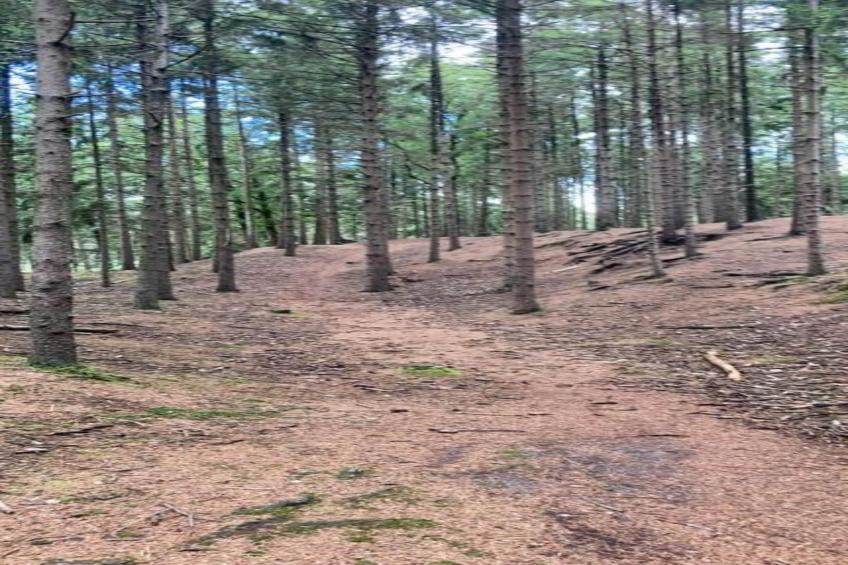 Vakantiepark de Vossenburcht - foto 37