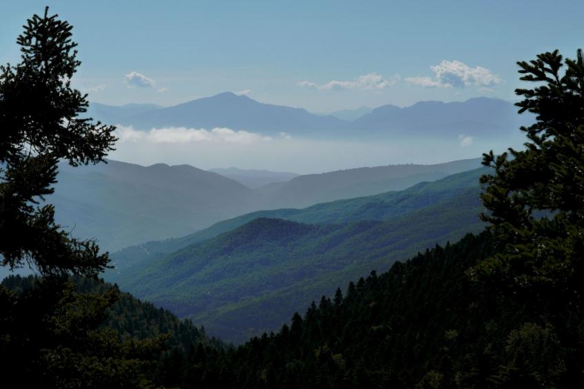 Spiti Louloudia - foto 32
