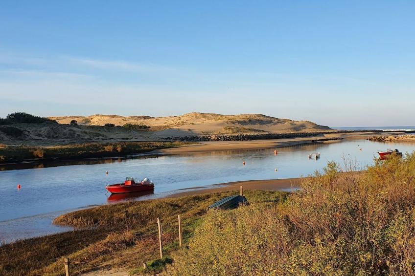 Villa contis-Plage 900m vom Ozean entfernt - foto 38