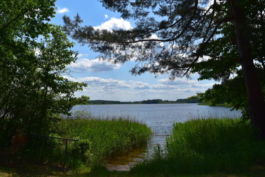 Ferienhäuser Inselblick / Ferienhaus 2 60 qm - foto 46