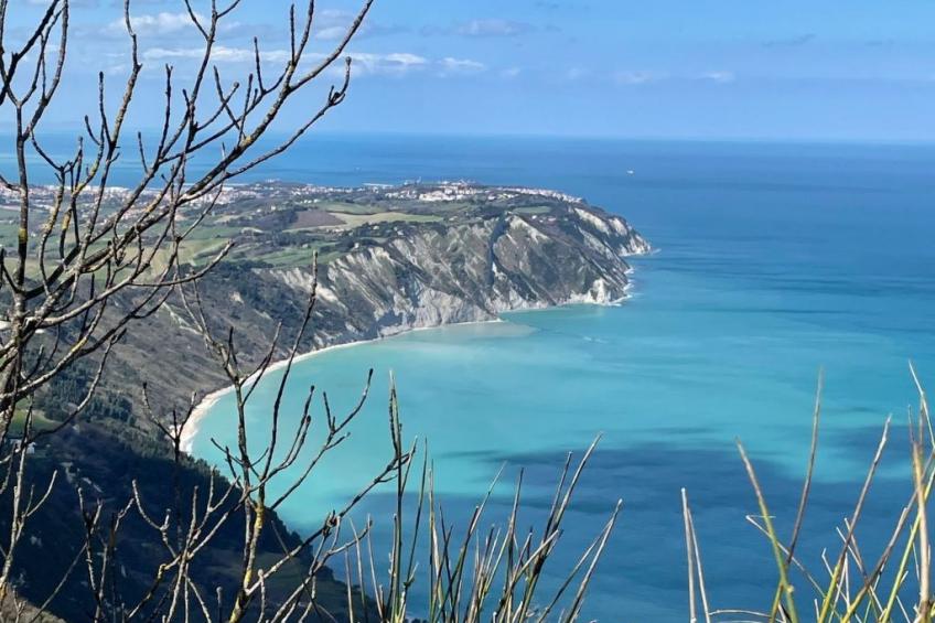 Monte Pino - foto 28