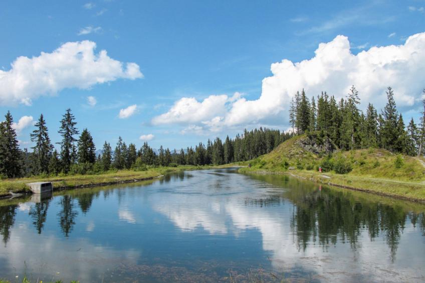 Unterflöber - foto 18