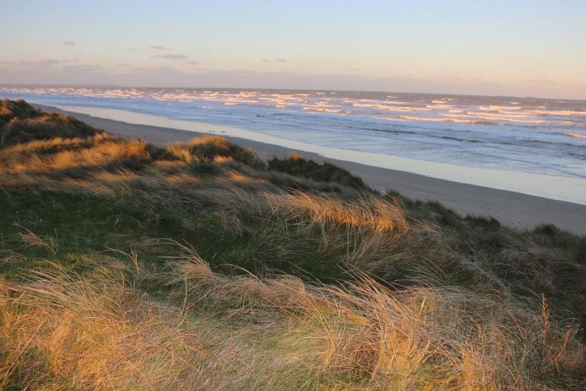 l'Escale dunes, Strände 20 Meter entfernt, Meerblick - foto 42