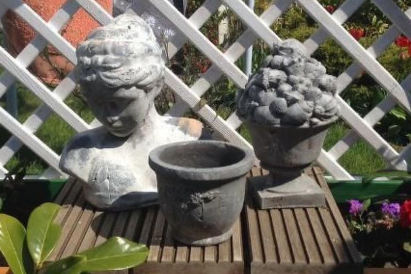 Strandläuferle - foto 26