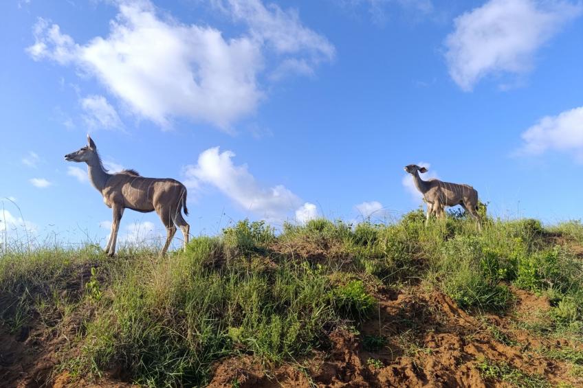 National Park View - foto 27