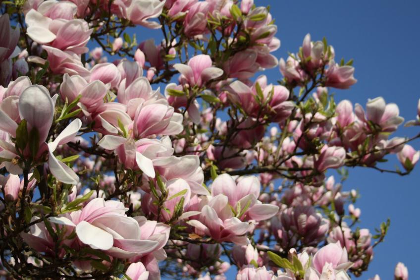 Schneemann - foto 24