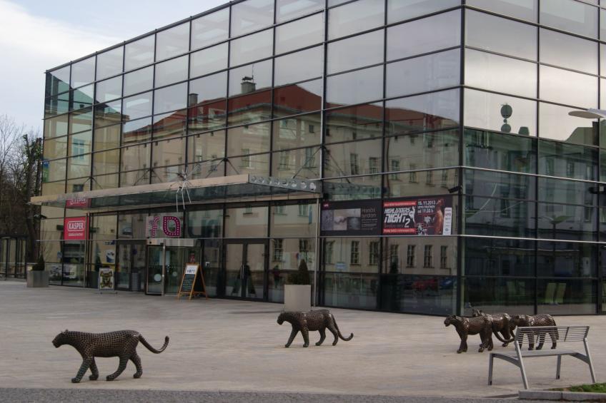 in natürlicher Umgebung - foto 23