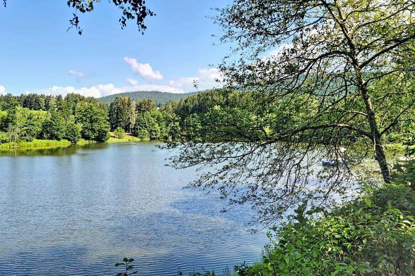 Böhmerwald Pur2 - foto 71