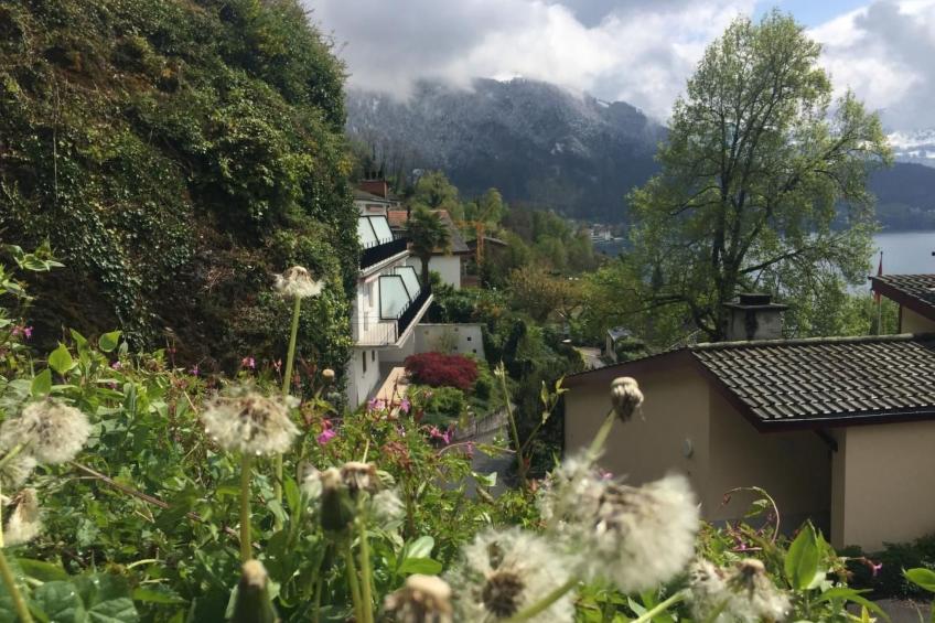 Traumstrand Vitznau - foto 14