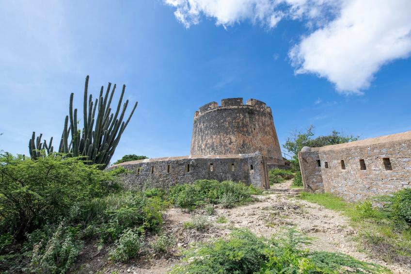 Rise and Shine - Boca Gentil - foto 34