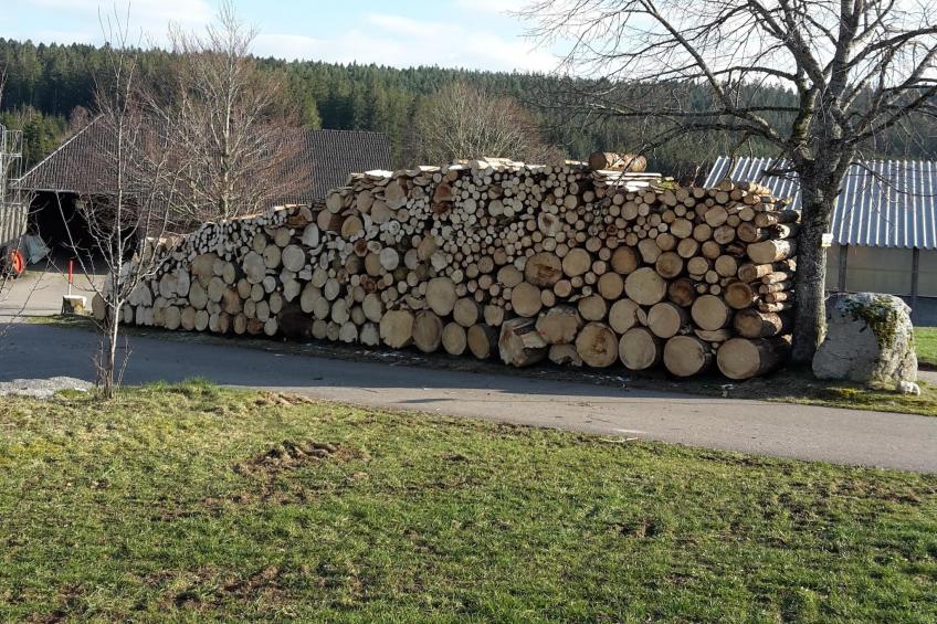 Zuckerbauernhof Weideblick - foto 23