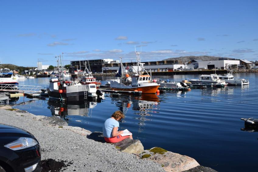 ÅRFJOR - foto 6