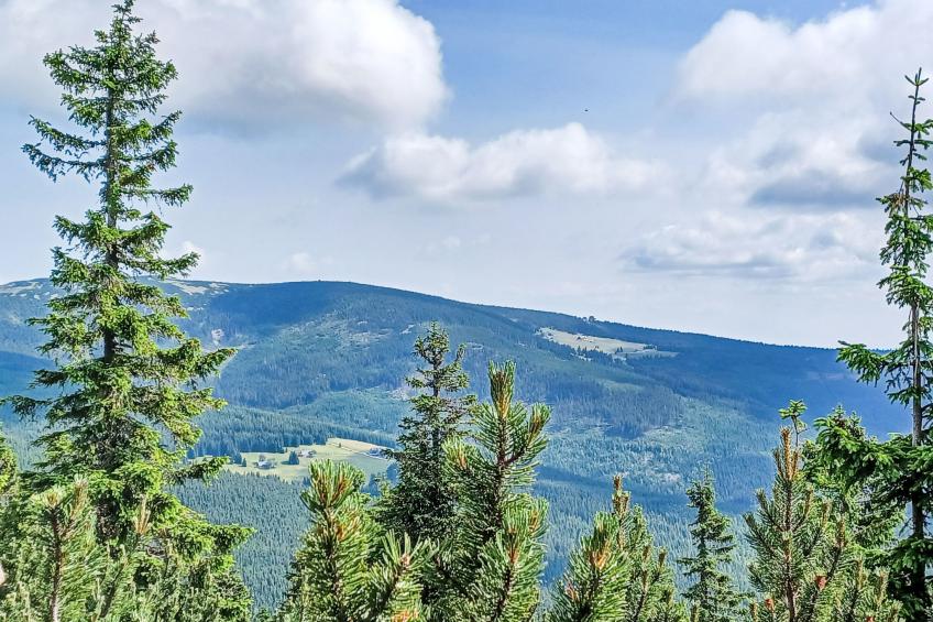 Luxury Mountain Attic with AC & Netflix - foto 38