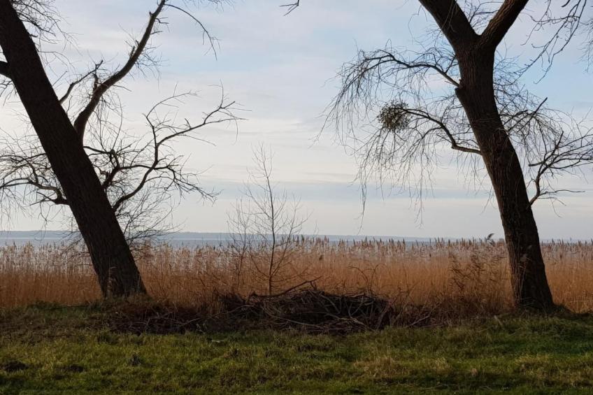 Juwel an der Lagune - foto 33