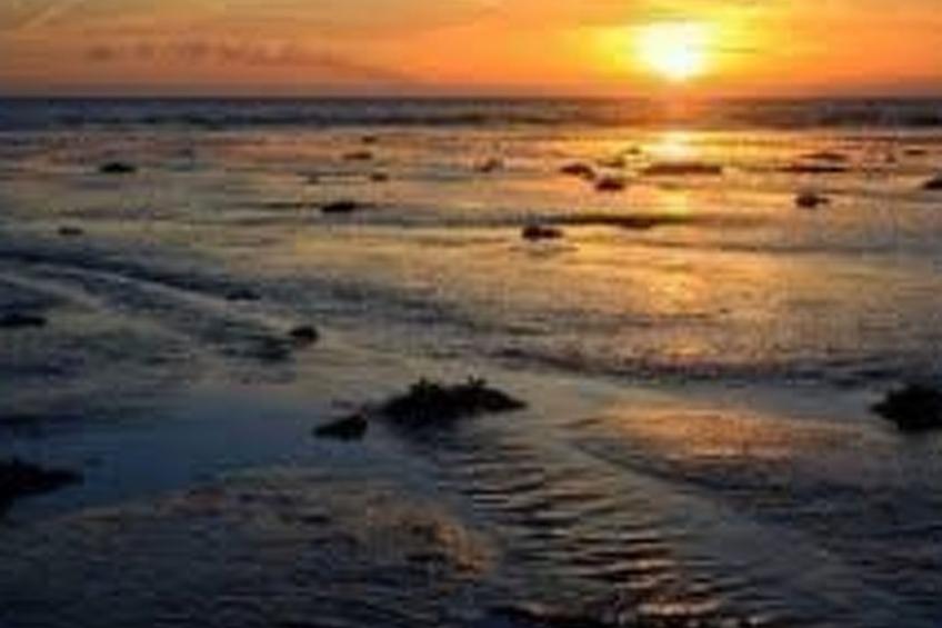 Wohnung met terras - foto 23