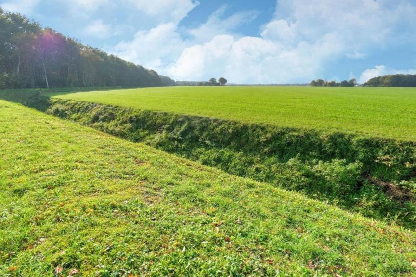 Boshuisje Vledder - foto 36