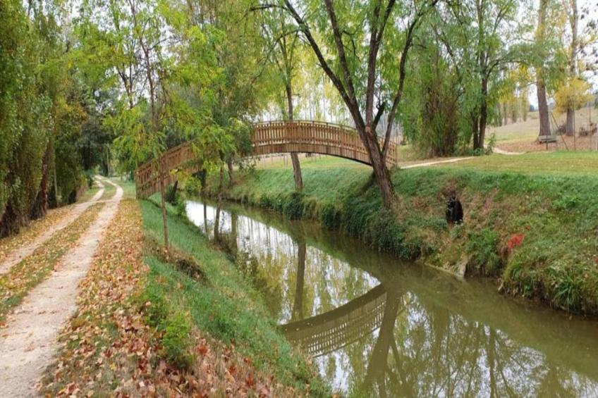 Ecolodge en Sequoia - foto 35