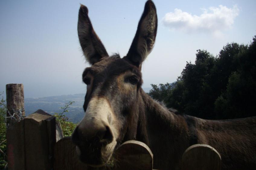 Sole e Ventu 70qm - foto 34